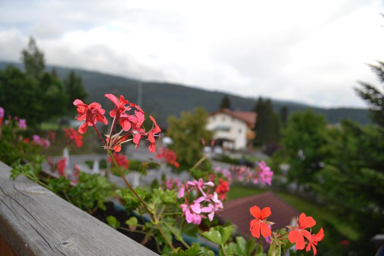 Gasthof zum Grünen Baum Voran Exterior foto
